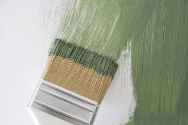 Best Real Estate Mold Inspection  in O, MI