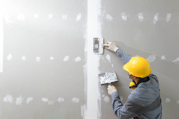 Best Black Mold Removal  in O, MI