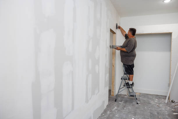 Best HVAC Mold Inspection and Cleaning  in O, MI