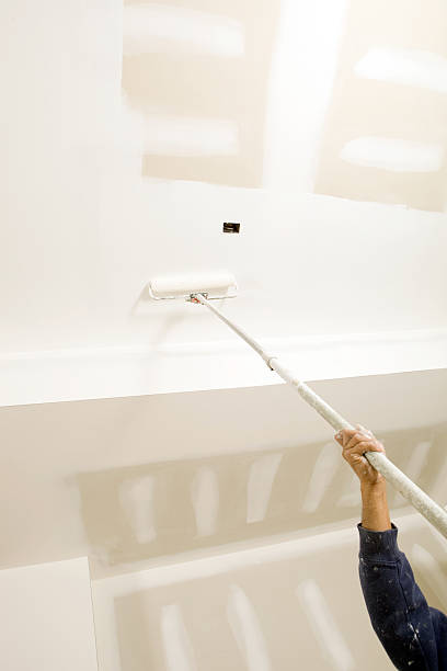 Best Mold Removal for HVAC Installations  in O, MI
